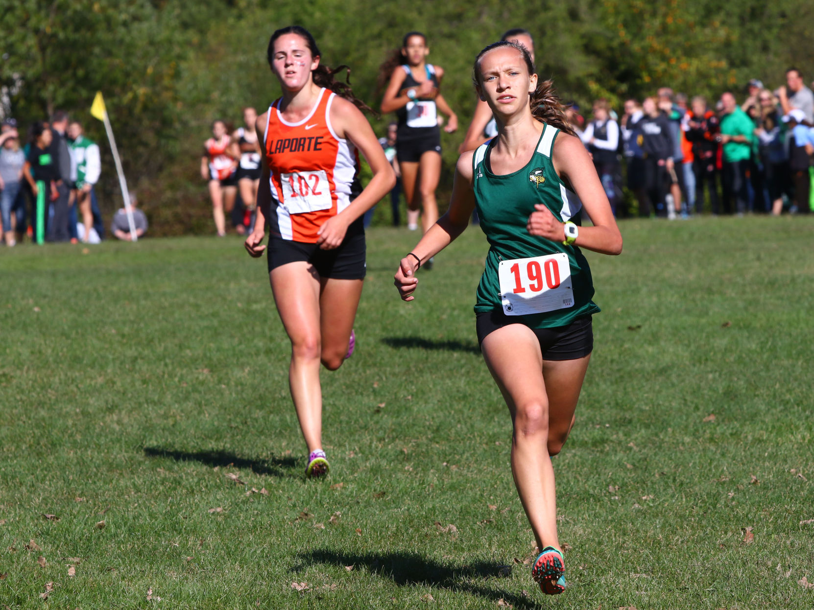 Gallery: Duneland Athletic Conference cross country meet